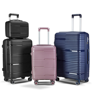 PP Luggage